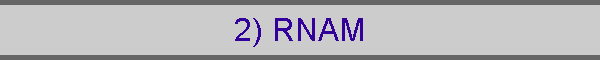 2) RNAM