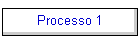Processo 1