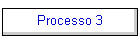 Processo 3